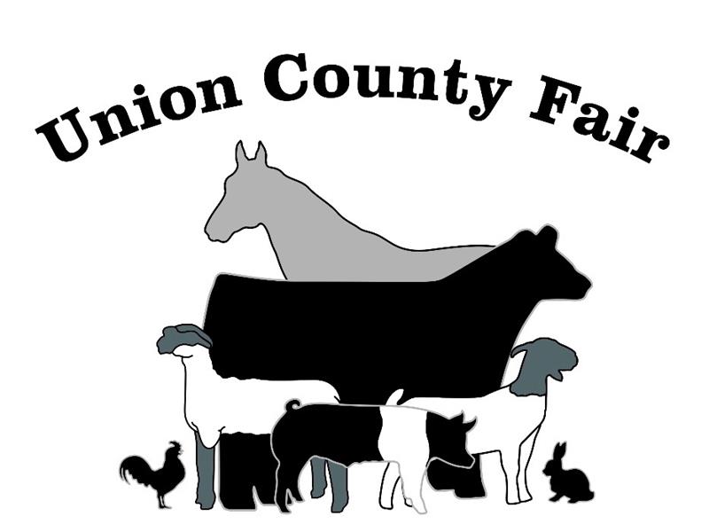 Logo for 2024 Union County Fair